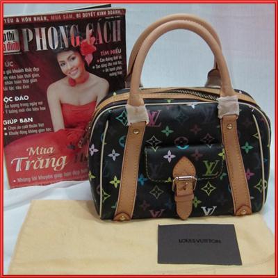 LV Mono Multicolore Canvas Fake 1